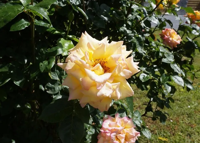 Hundertmorgenfeld Wo 3